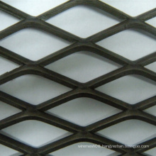 Heavy Expanded Iron Metal Plate/Sheet/Panel